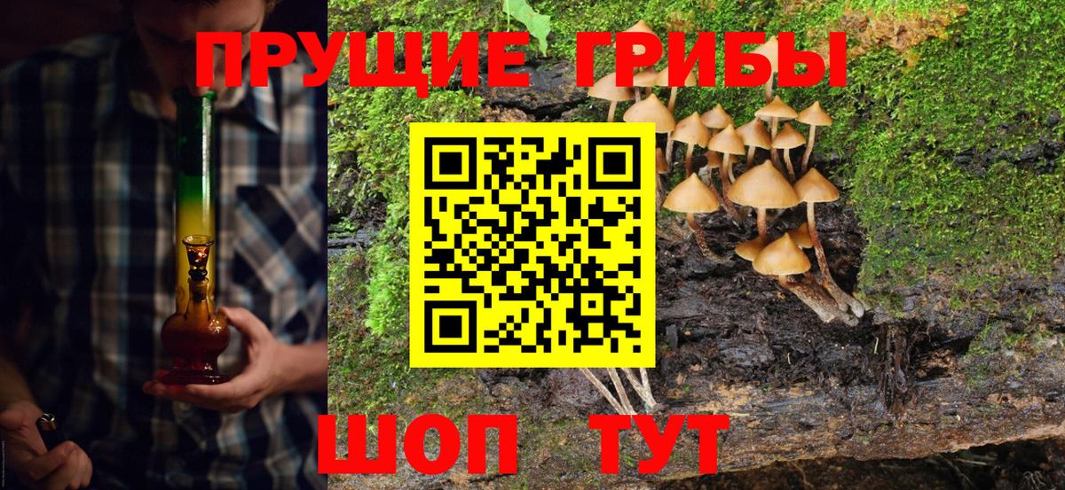 Красный Сулин  наркота  Вход с VPN  Галлюциногенные грибы MAGIC MUSHROOMS  Псилоцибиновые грибы мухоморы 